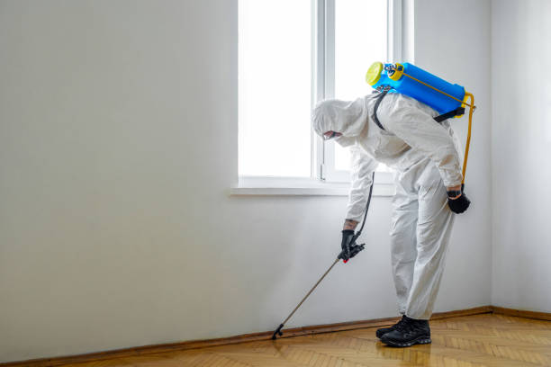 Best Residential Pest Control  in Vancleave, MS