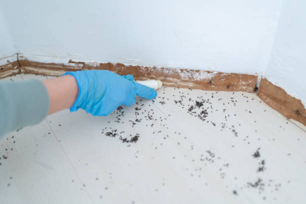 Best Exterminator Services  in Vancleave, MS